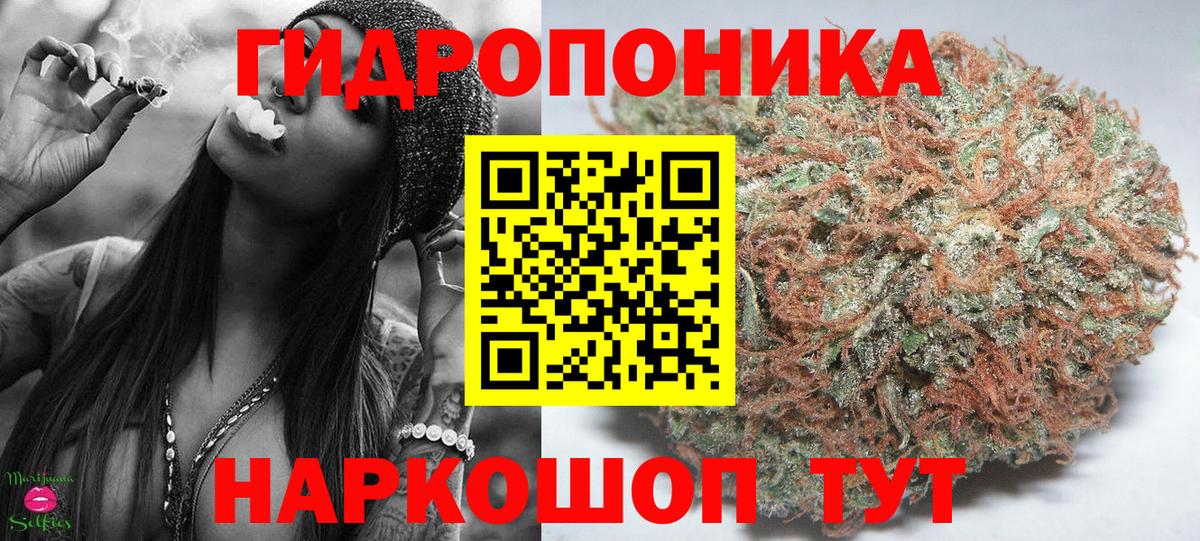 Бошки марихуана OG Kush Таганрог